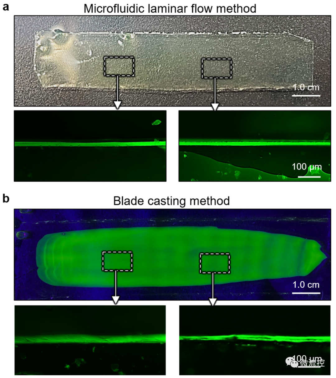 如何利用微流控技术实现厚度可控的超薄水凝胶薄膜连续制备？