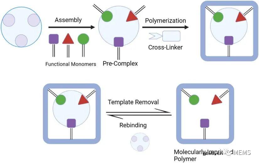 用于癌症诊断的仿生传感器技术研究进展