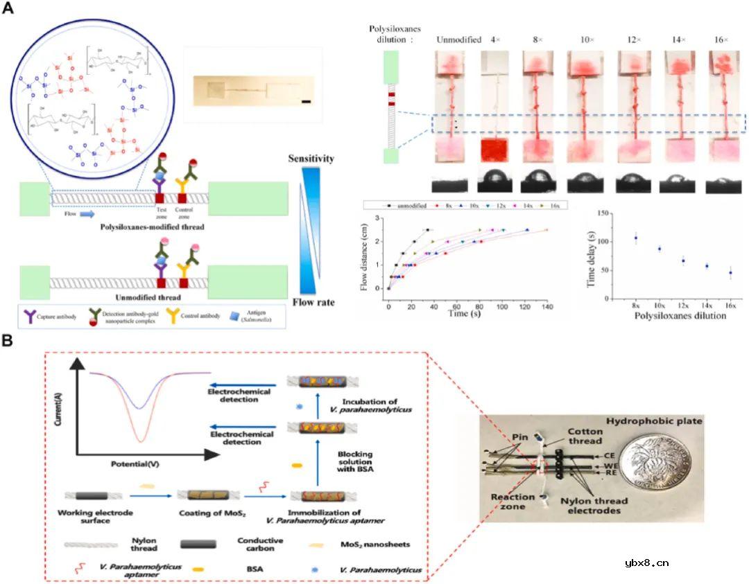 用于微生物病原体即时检测的材料功能化微流控系统研究进展