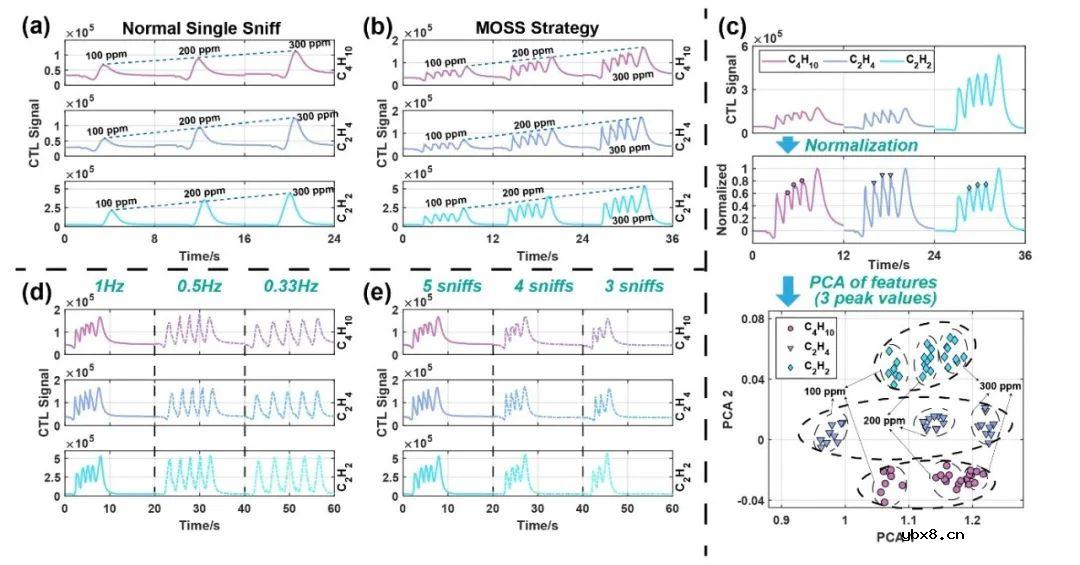 清华大学在电子鼻传感器仿生嗅闻方向取得新进展