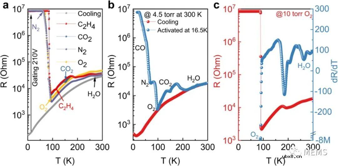 一种基于关联二维电子气的广谱气体传感器设计