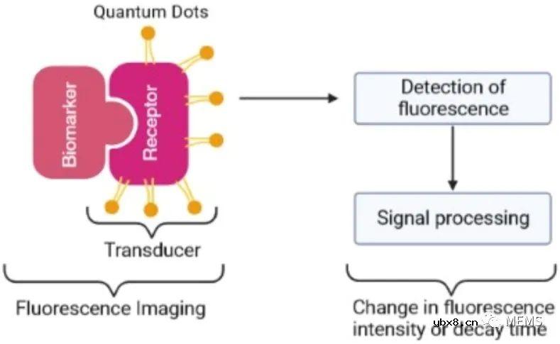 用于癌症诊断的仿生传感器技术研究进展