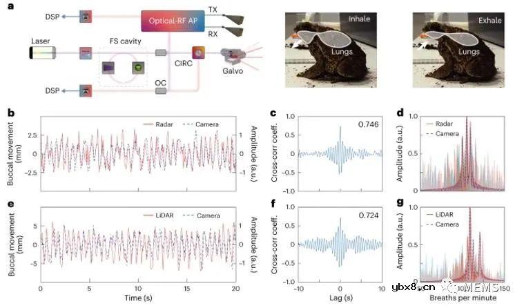 面向非接触式生命体征检测的光子雷达