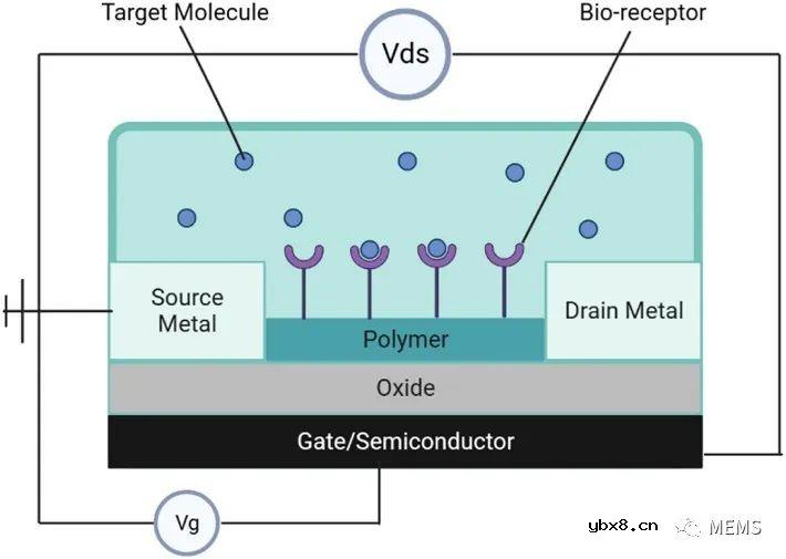 用于癌症诊断的仿生传感器技术研究进展