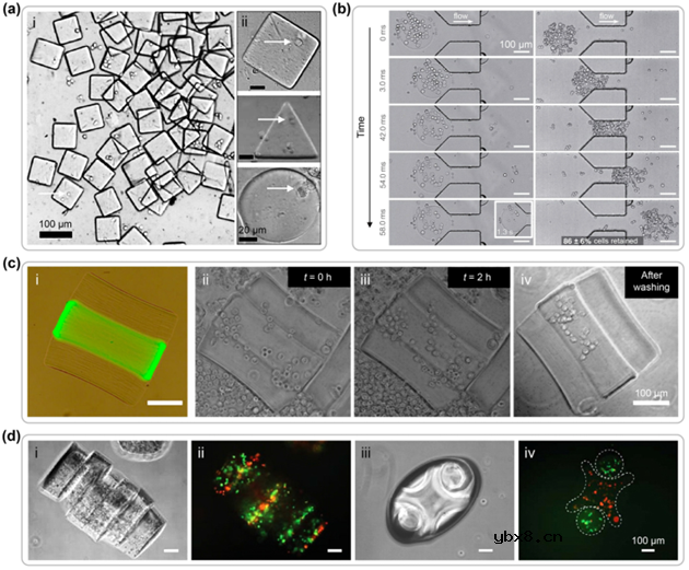 利用微流控光固化技术制备微型粒子研究现状及应用进展