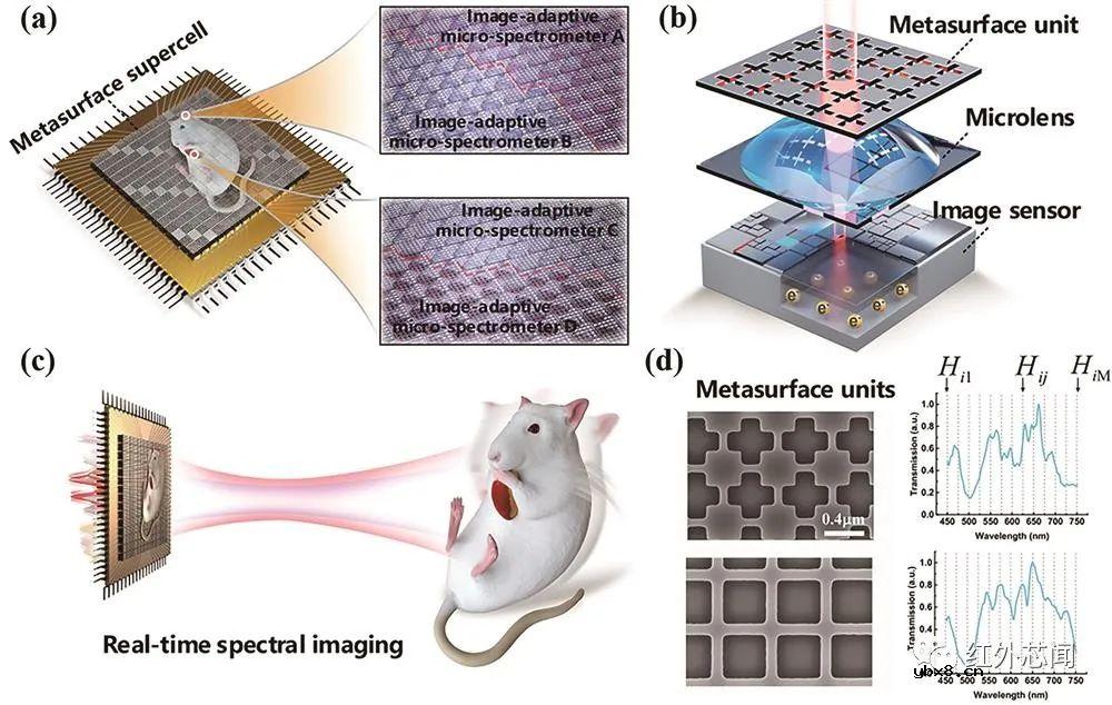 新型超构表面成像光谱芯片研究进展