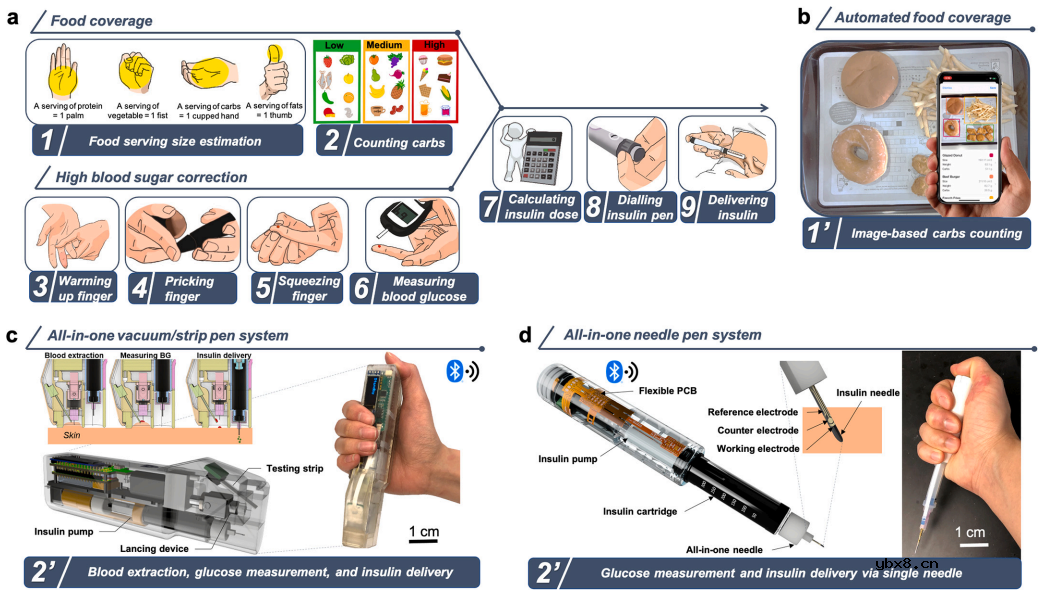 用于碳水化合物跟踪、血糖监测和胰岛素给药的自动化一体化系统