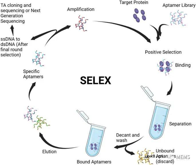 用于癌症诊断的仿生传感器技术研究进展