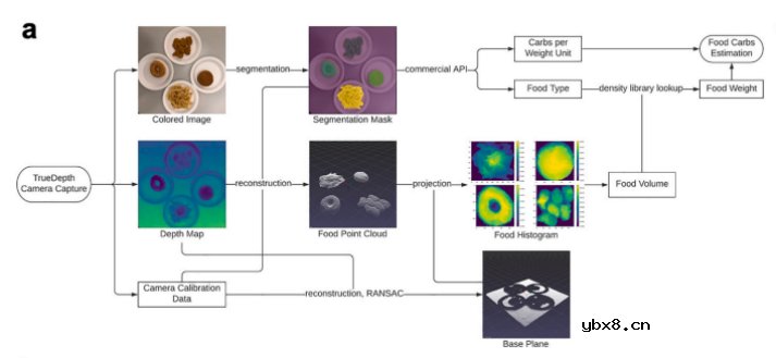 用于碳水化合物跟踪、血糖监测和胰岛素给药的自动化一体化系统