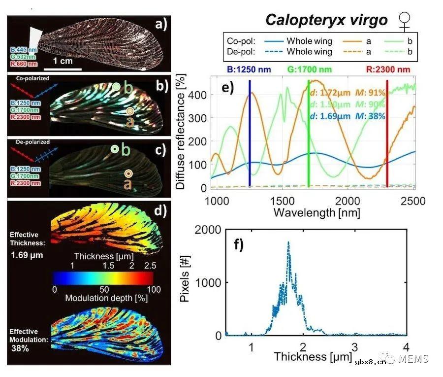 如何使用高光谱激光雷达平台用于监测昆虫多样性