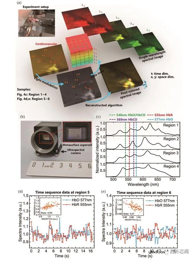 基于超表面实时超光谱成像芯片的研究进展