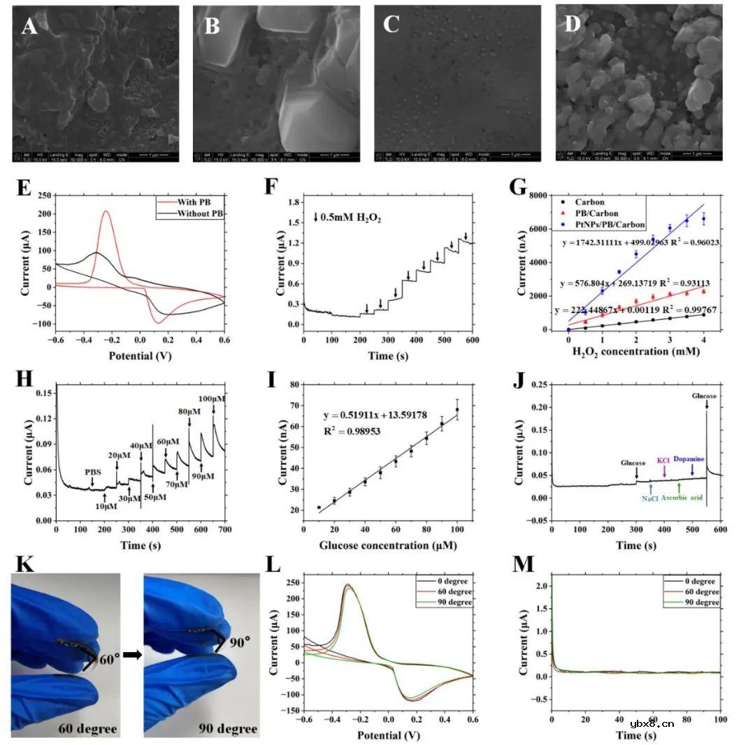 细胞间液pH对于反离子电渗透皮提取葡萄糖通量的影响研究