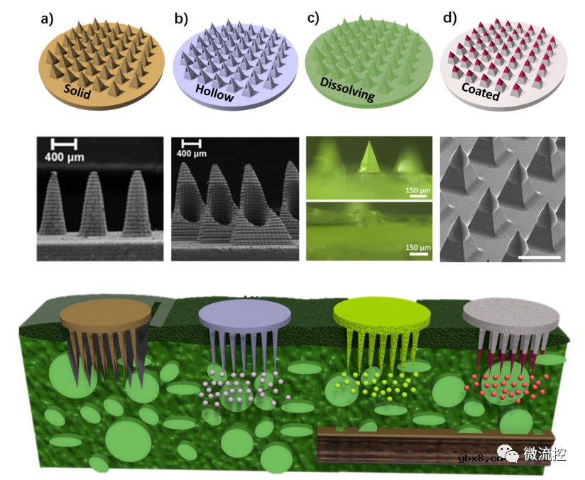 微针技术在农业领域的应用研究进展综述