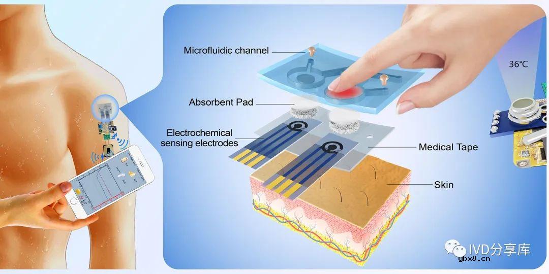 用于人体汗液和体温多功能检测的可穿戴微流控汗液传感系统
