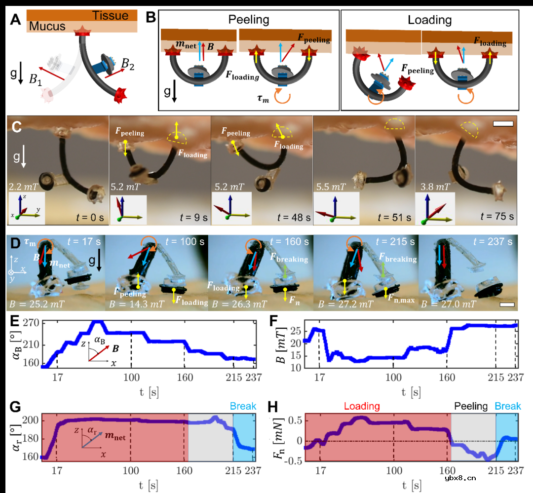 用于粘液生理特性原位传感的无线微型生物传感器设计