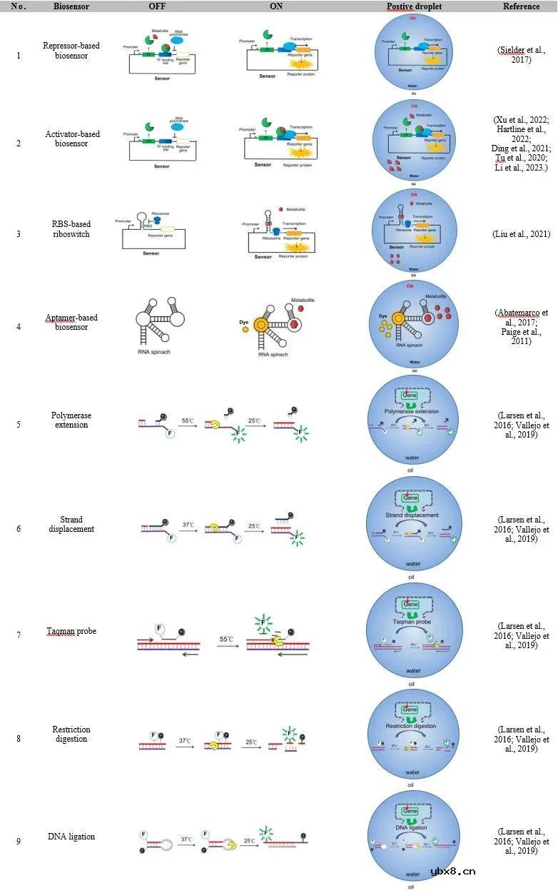 用于超高通量筛选的荧光偶联液滴微流控策略研究进展