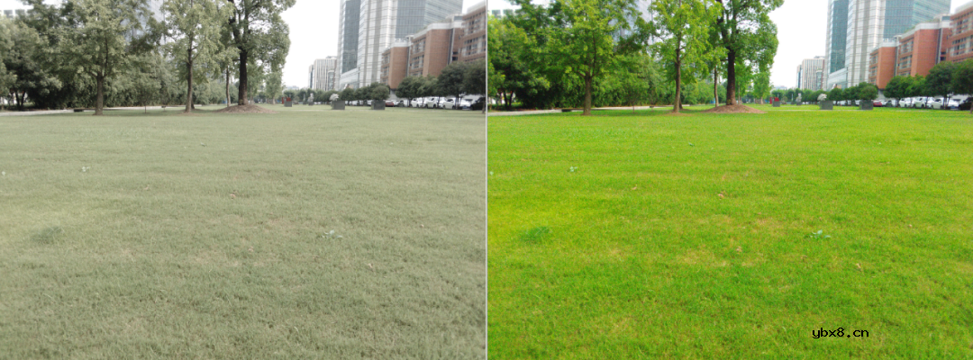 手机拍照为什么也需要图像处理算法呢？