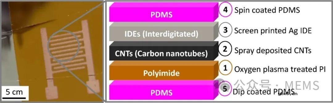 基于碳纳米管的气体传感器用于人体胃肠道体外模拟器中气体监测