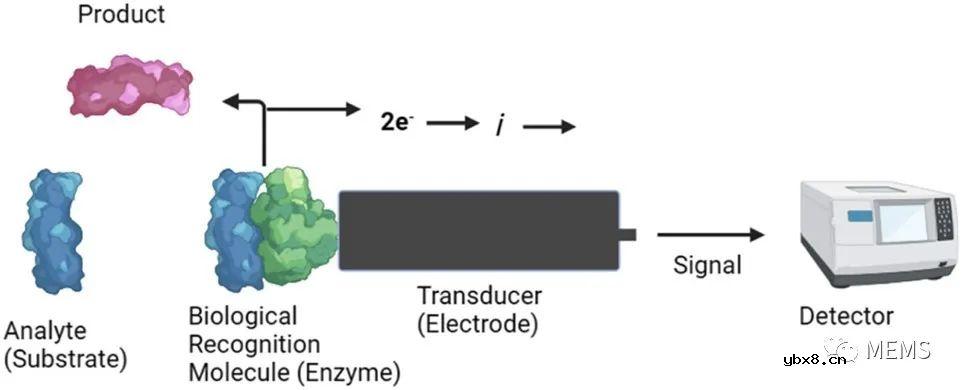 用于癌症诊断的仿生传感器技术研究进展