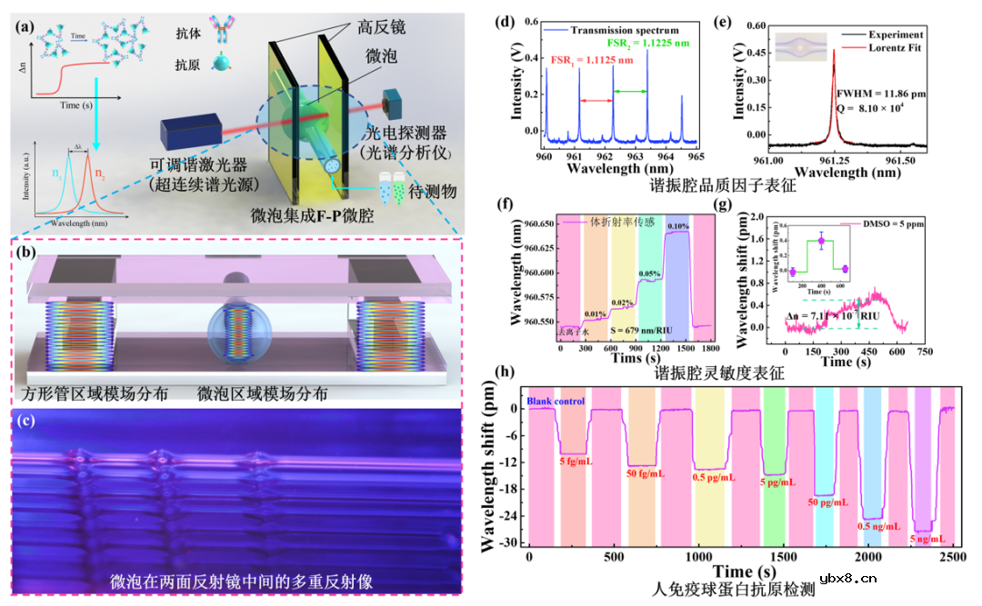 F-P型光流控微腔生物传感器实现超低浓度分子构象变化过程检测
