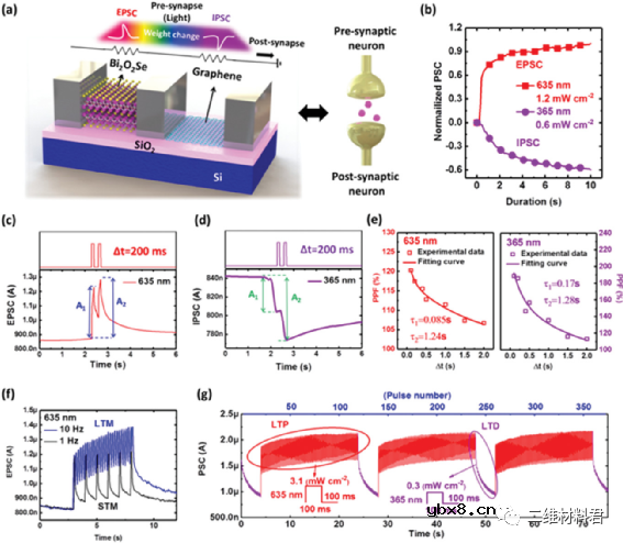 2D Bi2O2Se-石墨烯混合结构实现双向全光突触助力多功能光电子学