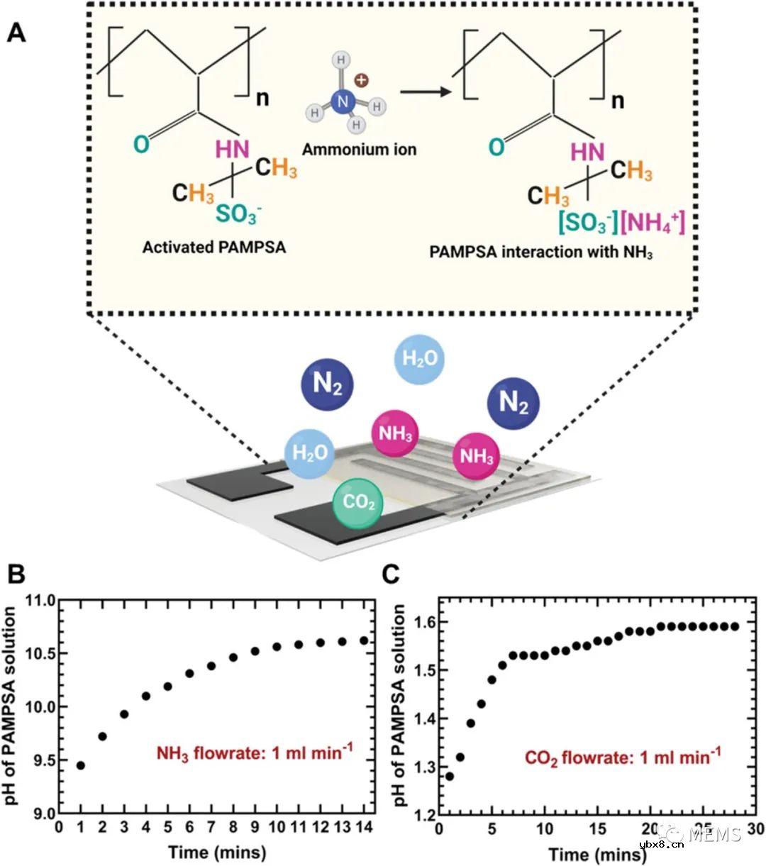 用于人体呼吸检测的化学电阻式氨气传感器