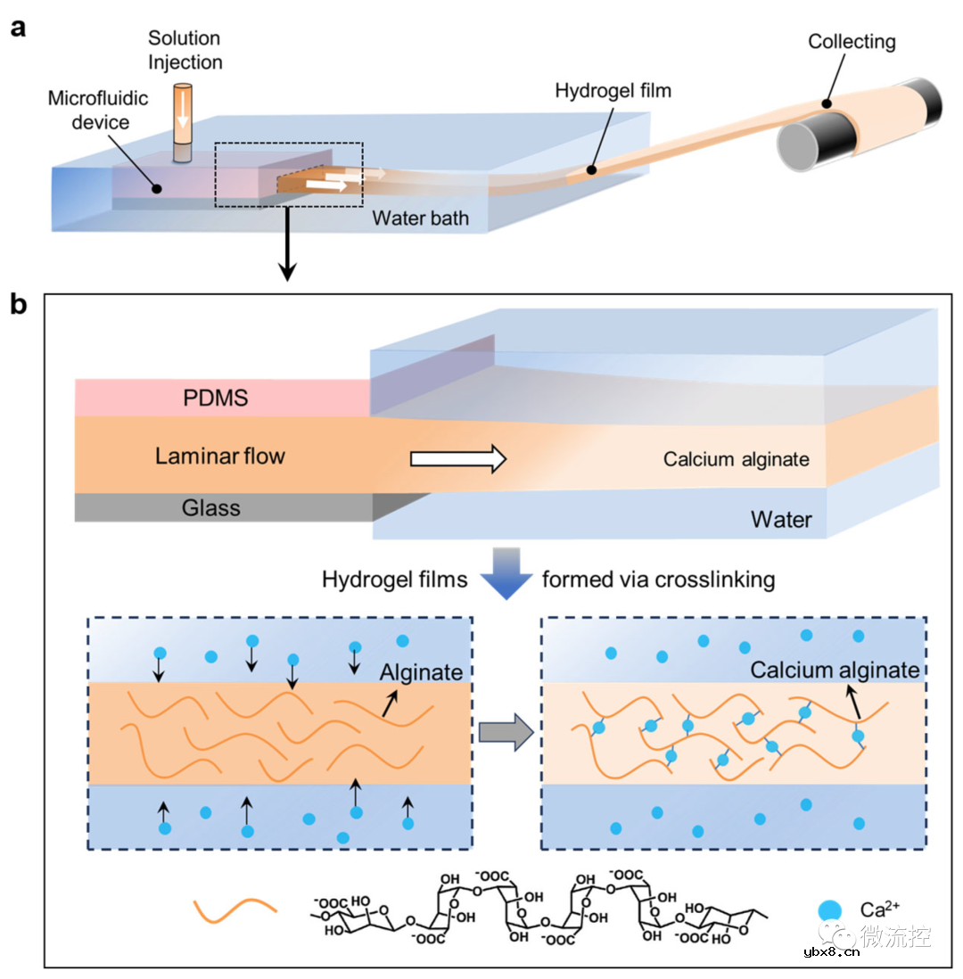 如何利用微流控技术实现厚度可控的超薄水凝胶薄膜连续制备？