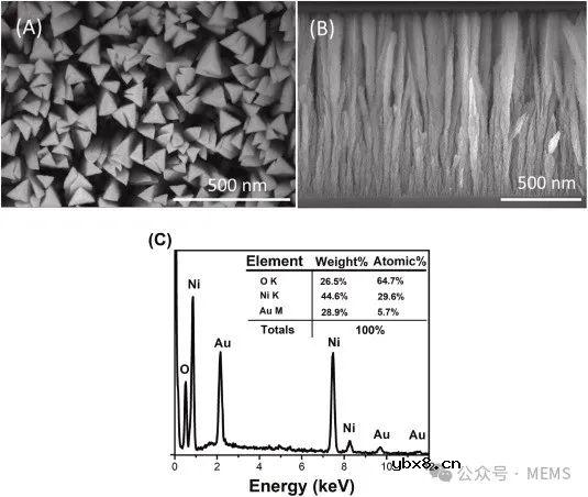 基于纳米酶增强电极的电化学传感器，用于汗液中的乳酸检测
