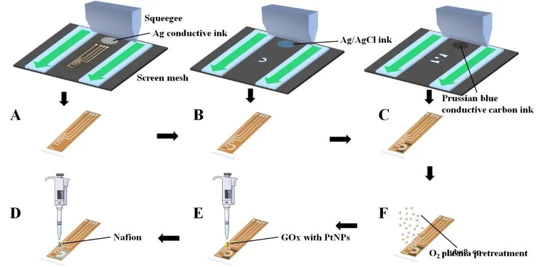 细胞间液pH对于反离子电渗透皮提取葡萄糖通量的影响研究