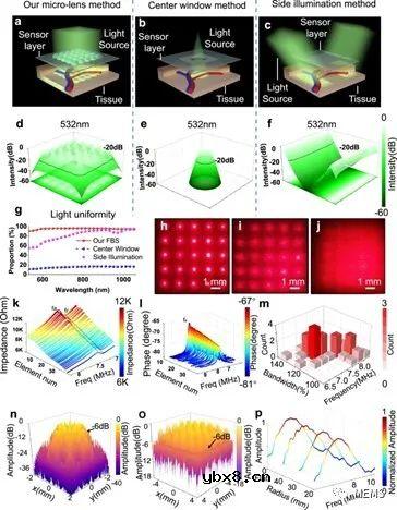 面向无创、连续多参数心血管监测的柔性光声血液听诊器设计