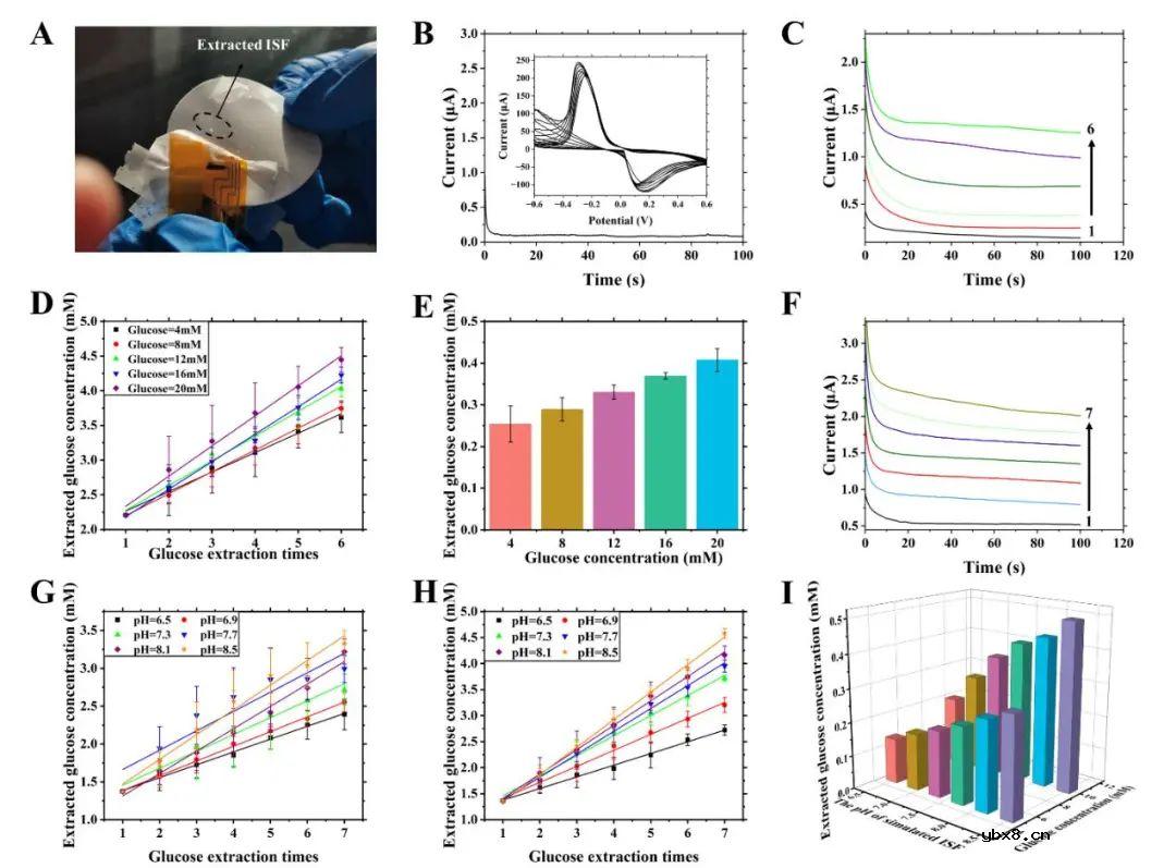 细胞间液pH对于反离子电渗透皮提取葡萄糖通量的影响研究