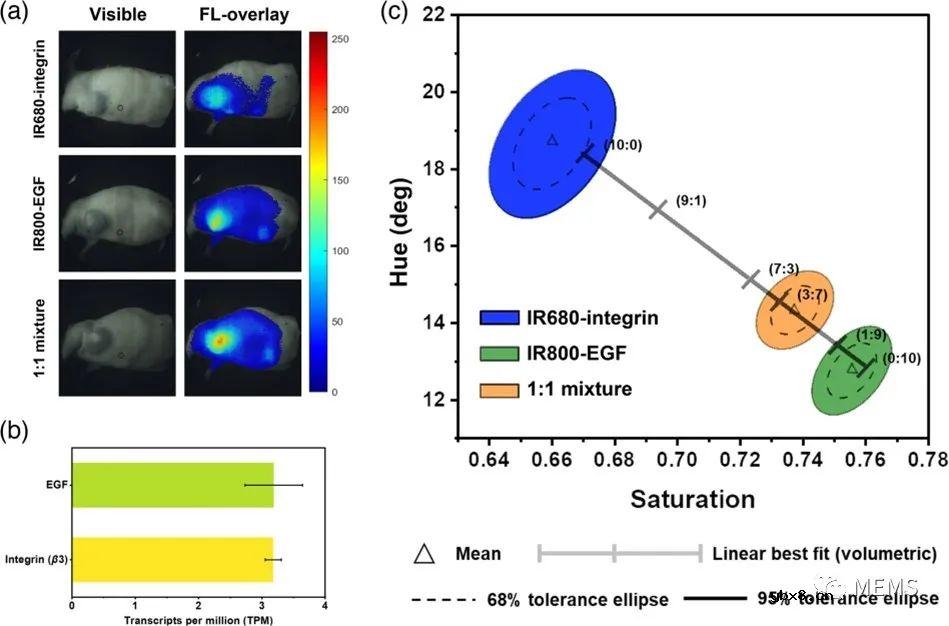 光电探测器+像素化光谱滤波器助力实现仿生光学内窥镜成像系统