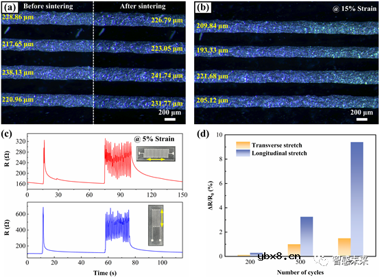 开发一种高集成度、低成本的活鱼可穿戴电子系统