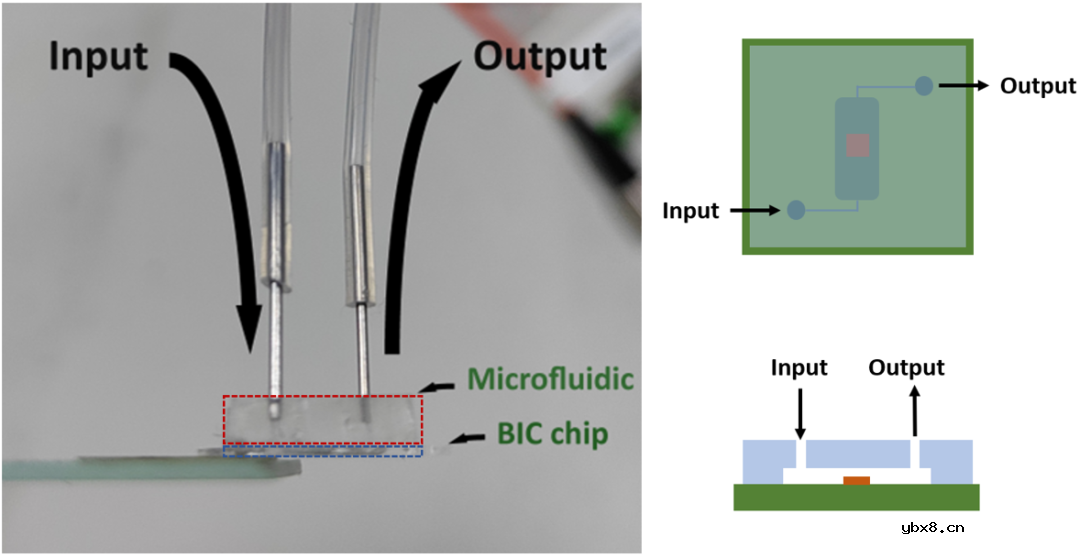 相位问询型全介质BIC超表面的新型折射率传感器件
