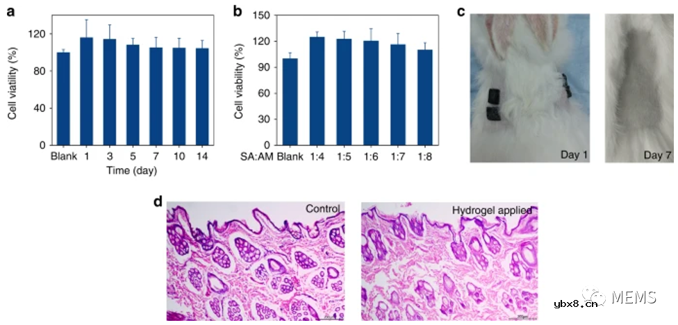 半干式双层水凝胶电极用于无创连续脑电图采集