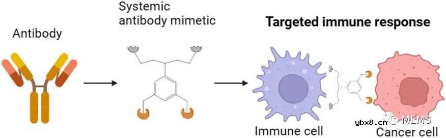 用于癌症诊断的仿生传感器技术研究进展