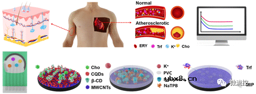 用于汗液中动脉硬化标志物检测的集成式电化学传感器