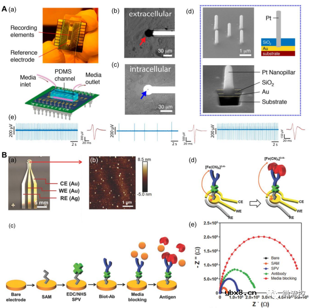 智能器官芯片系统在原位生物分析中的应用综述