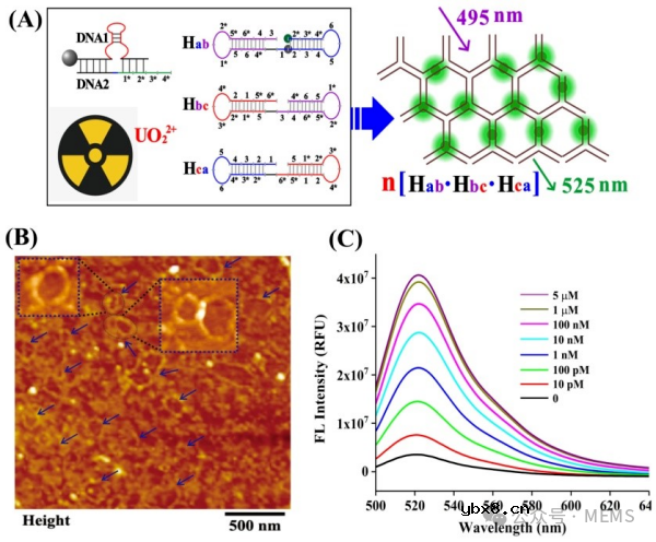 基于生物传感器的土壤重金属检测系列新方法介绍