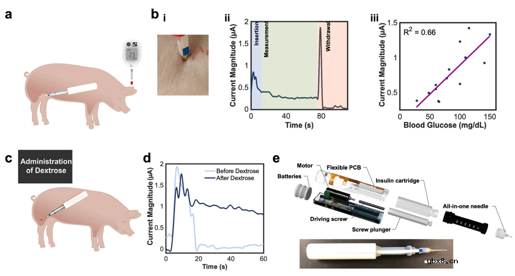 用于碳水化合物跟踪、血糖监测和胰岛素给药的自动化一体化系统
