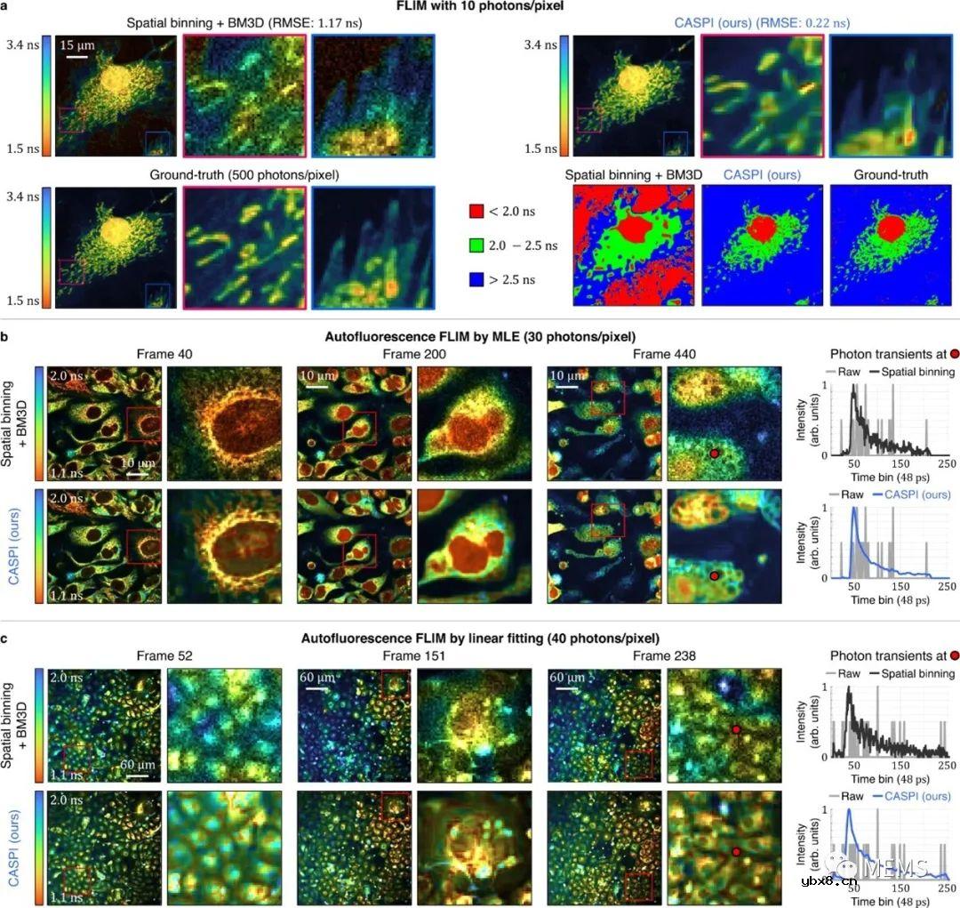 用于主动单光子成像的协同光子处理助力激光雷达