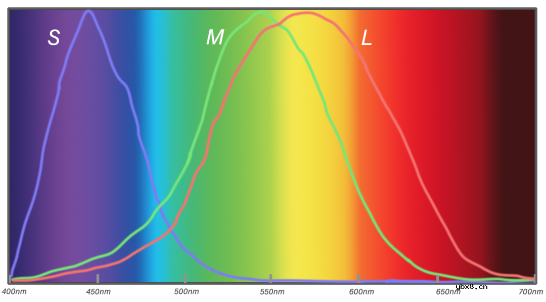 手机拍照为什么也需要图像处理算法呢？