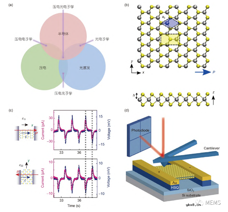 基于二维材料的压电光电子学器件综述