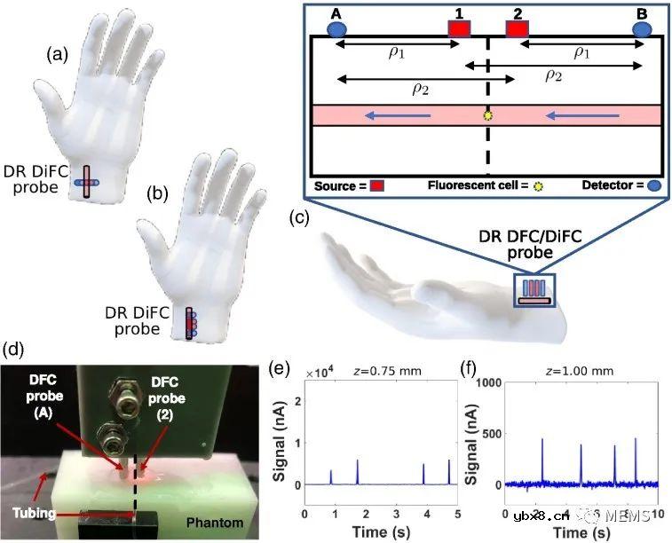 基于双比值法的漫反射体内流式细胞术检测体内循环肿瘤细胞