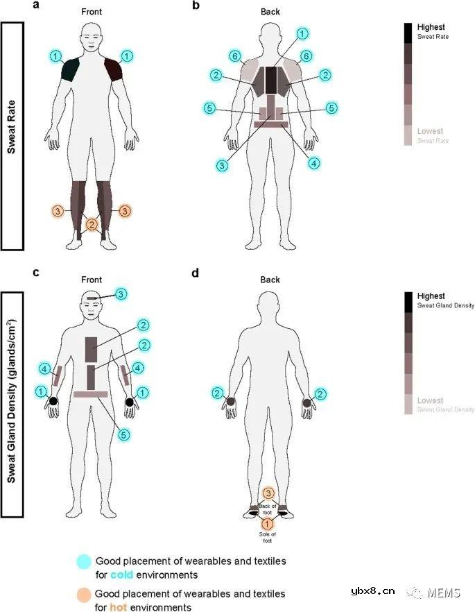 基于汗液的可穿戴技术在代谢综合征监测中的应用