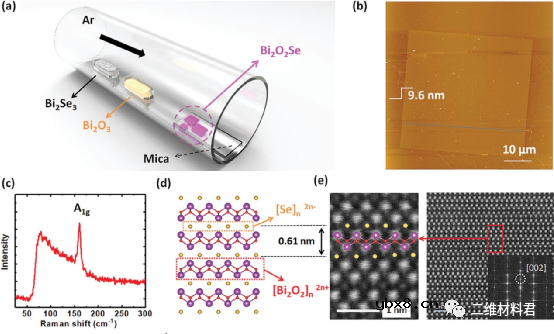 2D Bi2O2Se-石墨烯混合结构实现双向全光突触助力多功能光电子学