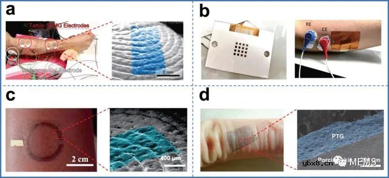 用于表面肌电图采集的柔性无创电极的最新研究进展