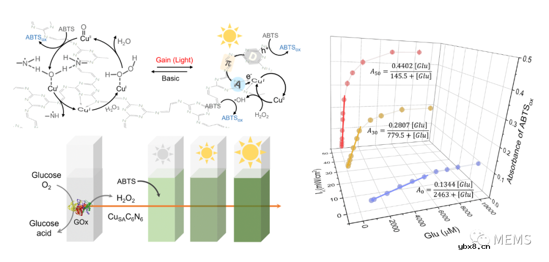 东南大学在氮化碳自适应生物传感方面取得重大突破