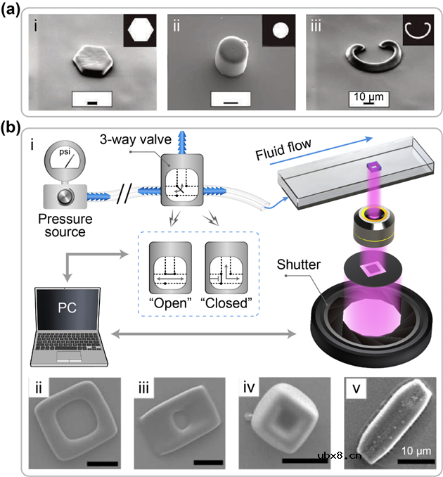 利用微流控光固化技术制备微型粒子研究现状及应用进展