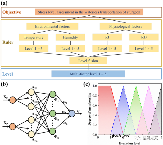 开发一种高集成度、低成本的活鱼可穿戴电子系统